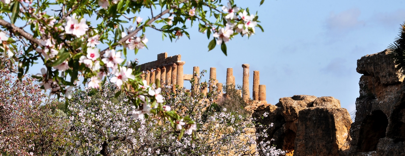 Tempio di Concordia